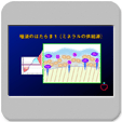 �X���C�h11