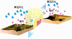 イラスト2
