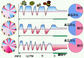 イラスト4